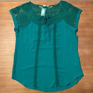 NWT Maurices Dress Top